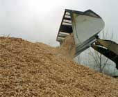 wood chips