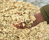 Wood chips